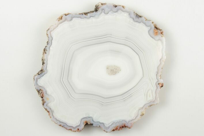 Polished Banded Agate Slice - Wegeler Effect #198190